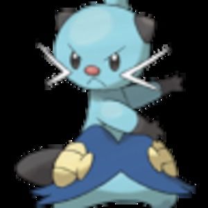 Meet your Posher, Maximiliano